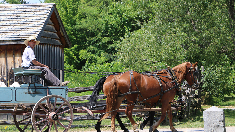 Horse Lovers’ Weekend