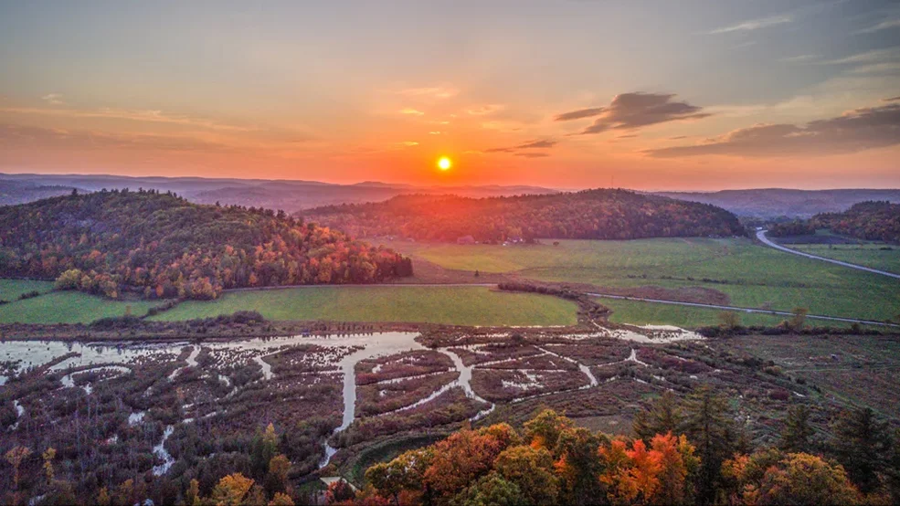 Fall Colour Festival