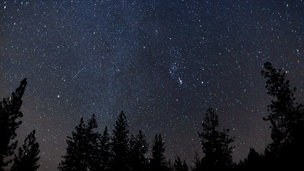 Star Party by the Royal Astronomical Society of Canada