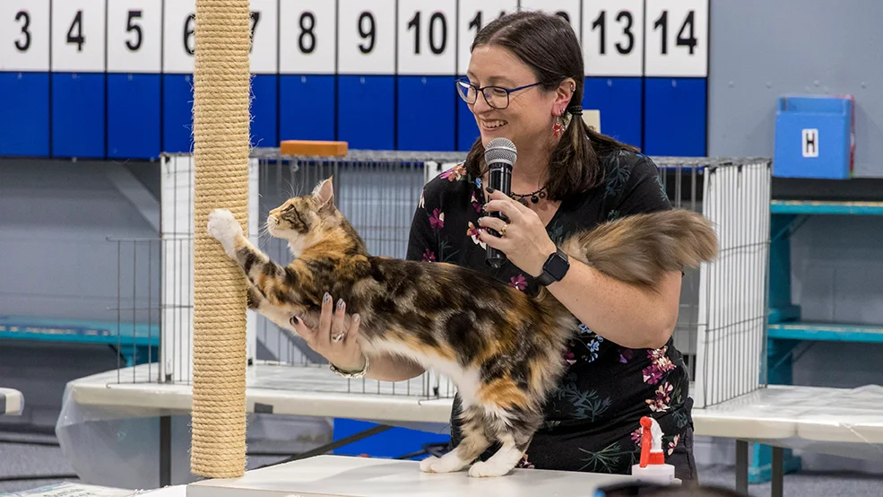Ottawa Cat Show