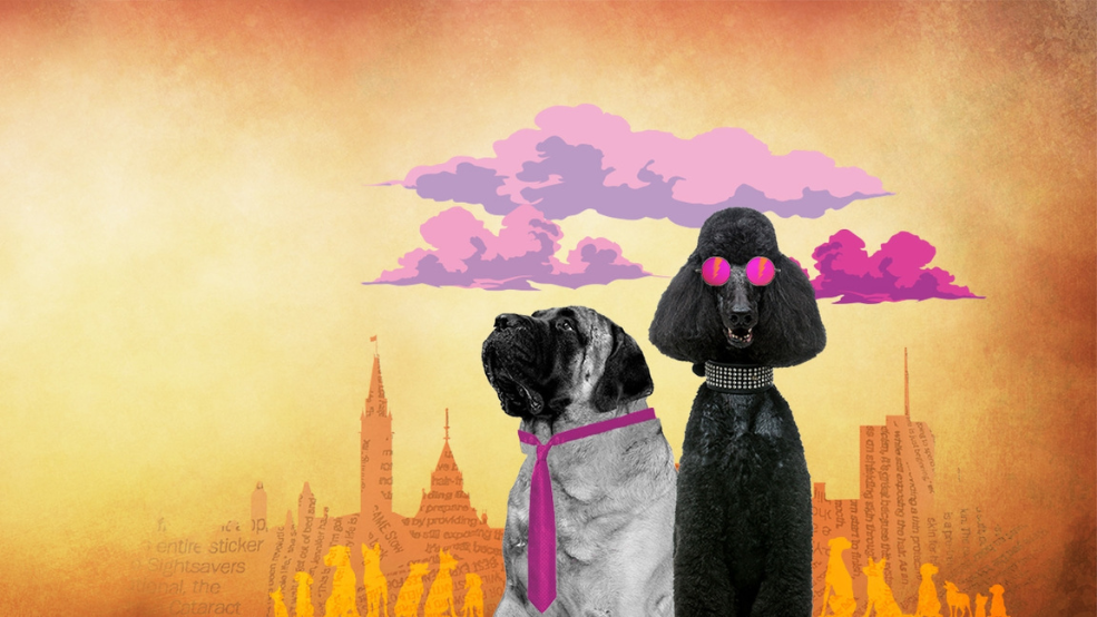 Fifteen Dogs Unleashed – From Page to Stage: A Creative Discussion