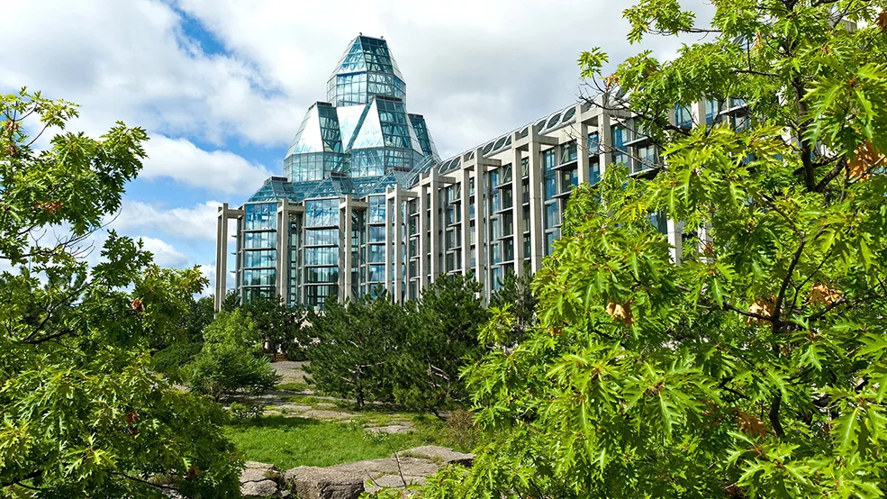 Governor General’s Awards in Visual and Media Arts