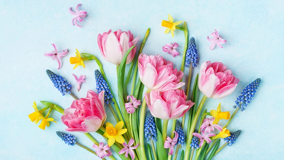 Spring Fling in Manotick
