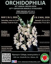 Orchidophilia